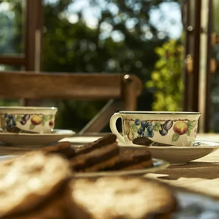 Medicea Di Lilliano * Grassina