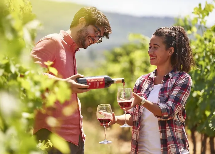 Medicea Di Lilliano Grassina