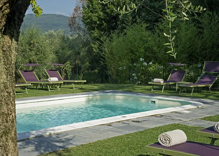 Medicea Di Lilliano *